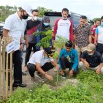 Lestarikan Lingkungan, Pemda Jeneponto Tanam 3 Ribu Pohon Tersebar di 11 Kecamatan