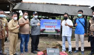 Komonitas Penggemukan serta Swasembada daging Sapi di Babel Akan Meningkat,ini Ditegaskan Erzaldi Rosman