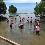 Peduli Lingkungan, Amure Anggota Komisi X DPR RI Tanam 10 Ribu Mangrove di Pantai Kuri Caddi Maros