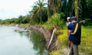 Ancam Pemukiman Warga, Sungai Lariang Makin Ganas