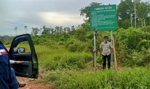 Penyelidikan Kasus Jual Beli Hutan Seluas 100 Hektar di Desa Sebagin Terus Diusut