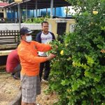 Dinas Koperasi, UKM dan Perdagangan ikut Dukung Gema Tasamara