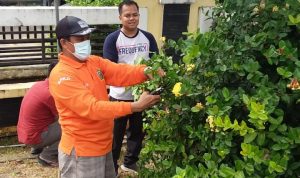 Dinas Koperasi, UKM dan Perdagangan ikut Dukung Gema Tasamara