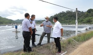 Gub Babel Erzaldi Rosman Tinjau Tambak Udang PT. ISP di Desa Seribu Lampung