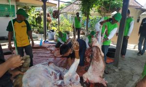 Warga Masjid Muhajirin Pangkalpinang Sembelih Kurban 8 Ekor Sapi dan 4 Kambing