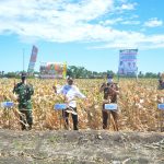 Bersama Kementan RI, Bupati Jeneponto Panen Raya Jagung Nusantara Secara Virtual