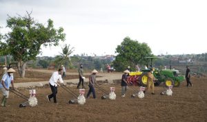 Petani di Jeneponto Tanam Jagung Bareng Jokowi, Plt Gubernur Harapkan Produksi Sulsel Topang Kebutuhan Nasional