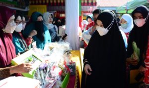 Hadiri Peringatan Hari Disabilitas Internasional Tingkat Sulsel, Naoemi Octarina Apresiasi Kegiatan