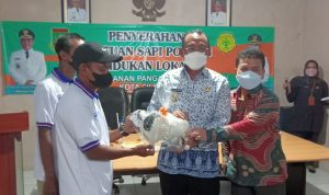 Anggota DPR-RI Komisi IV Menyerahkan Bantuan Sapi Potong Indukan Lokal