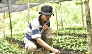 Erie Ujie Anugrah Berikan Hak Jawab Terkait Pemberitaan Pengadaan Bibit Kopi Robusta Dibatalkan