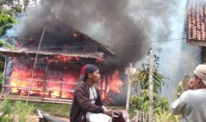 Si Jago Merah Lalap Habis Satu Rumah di Kampung Mulya