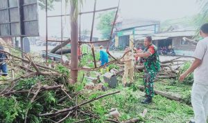 Anggota Koramil 2307/Ciwandan Giat Karbak Pembersihan Pohon yang Rubuh