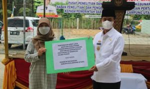 Lampung Utara Terima Bantuan 40 Ribu Bibit Tanaman Lada dari Kementrian Pertanian RI