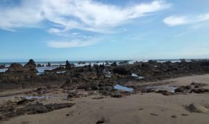 Terseret Ombak di Pantai Cibobos, 1 Orang Meninggal Dunia dan 1 Orang Belum Ditemukan