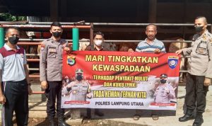 Polres Lampura Turun Tangan Awasi PMK Hewan Ternak Sapi