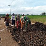 Peduli Lingkungan, Babinsa Koramil Way Bungur Bersama Masyarakat Perbaiki Jalan Rusak