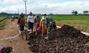 Peduli Lingkungan, Babinsa Koramil Way Bungur Bersama Masyarakat Perbaiki Jalan Rusak