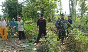 Dukung Percepat Perekonomian, Babinsa Way Jepara Bersama Warga Buka Akses  Jalan Usaha Tani