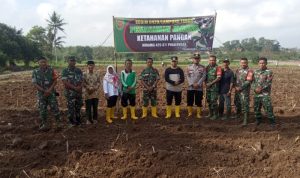 Koramil 07/Pekalongan Bersinergi dengan Instansi Terkait Dukung Ketahanan Pangan