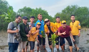 Bersama DKP Banten dan KNPI Malingping, Mahasiswa UNIBA dan Pokdarwis Tanam Mangrove di Danau Talanca