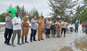 Pentingnya Hutan Bakau PWI Bersama Kapolda Babel Gelar Penanaman Mangrove