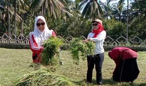 Mengenang Jasa Pahlawan, Dinsos Pasangkayu Melakukan Pengecetan Tugu TMP