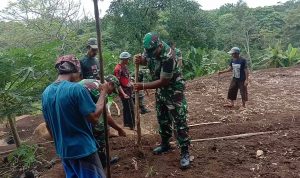 Koramil 2306/Mancak, Melaksanakan Kegiatan Ketahan Pangan Jagung