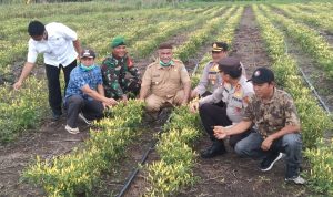 Dukung Program Bantuan Pemerintah, Kapolda Babel Salurkan Ratusan Paket Sembako Kepada Nelayan