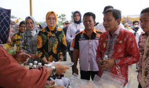 Keanekaragaman UKM/IKM Lampung  Kontribusi Besar Mampu bersaing di Tingkat Nasional dan Internasional