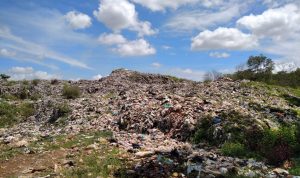 Gelar Hunting History di TPAS Karang Rejo, Metro Kreatif Movement Ajak Milenial Kurangi Sampah Plastik