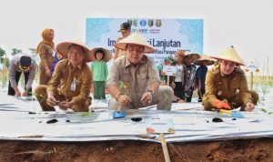 Gerakan Nasional Pengendalian Inflasi Pangan Arinal Djunaidi Gelar Tanam Cabai Secara Simbolis di Kabupaten Pesawaran 