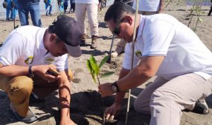 Pencanangan Penanaman 1.250.000 Mangrove, PT AAL Bantu Pemkab Pasangkayu