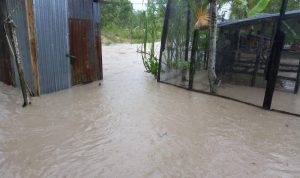 Diduga Kebal Hukum, Oknum Pengusaha Tambang Timah Abaikan Kerusakan Lingkungan dan Pondok Majlis Zikir ‘Banjir’