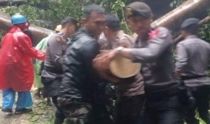 Polisi Dibantu Warga Evakuasi Pohon Tumbang Akibat Cuaca Buruk Di Maros