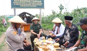 Dandim 0623/Cilegon Menghadiri Panen Jagung Manis Koramil 01/Cilegon