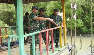 Dandim 0429/Lamtim Tinjau Renlok Penanaman Pohon Mangrove