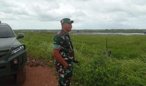 Sukseskan Program Ketahanan Pangan, Dandim 0432/Basel Kunjungi Lahan Sawah Desa Pergam