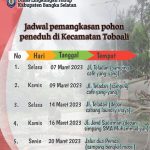 DLH Basel Jadwalkan Pemangkasan Pohon Selama 5 Hari, Hepi:”Biar Semua Pohon Peneduh Tertata Rapi”