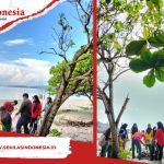 Dinas Pariwisata Basel Gandeng DLH dan Dindikbud Gelar Aksi Bersih-bersih Sampah di Pantai Tanjuk Kerasak