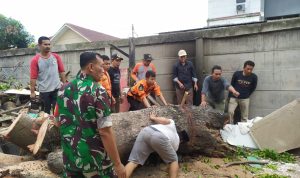 Babinsa Koramil 2301/Cilegon, Karbak Pemindahan Batang Pohon