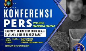 Soal Kasus 2 KG Ganja, Kasihumas Polres Bangka Barat: ” Besok Kita Konferensi Pers”