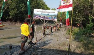 Kodim 0429/Lamtim Siapkan Ribuan Pohon Mangrove Jelang Penanaman Serentak Seluruh Indonesia