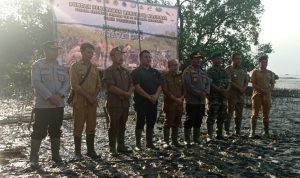 Peduli Lingkungan, Kodim 0432 Bersama Pemkab dan Polres Basel Tanam 1000 Mangrove di Pesisir Pantai