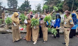 Panen Ketiga, Bukti Suksesnya Implementasi Inovasi Program Blue Green di Kantor Gubernur Kep. Babel