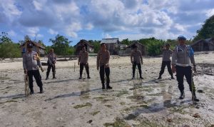 Kapolsek pasimarannu Bersama Anggotanya Tanam Pohon Mangrove di Pantai Burungo Desa Majapahit !