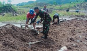 Babinsa Koramil 2303/Pulomerak, Karbak Membantu Pemadatan Jalan