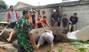 Babinsa Koramil 2301/Cilegon, Karbak Giat Pemindahan Batang Pohon