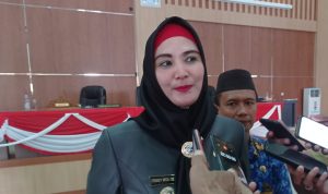 Wakil Bupati Bangka Selatan Apresiasi 2 Raperda Inisiatif DPRD