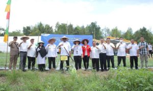 Pj Gubernur Safrizal Hadiri Peresmian Nursery Cabai dan Bawang Merah di Desa Air Mesu Timur