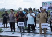 Bersama Pj Gubernur Sulsel dan Kapolda Sulsel, Bupati Wajo Tanam dan Panen Perdana Cabe di Tanasitolo